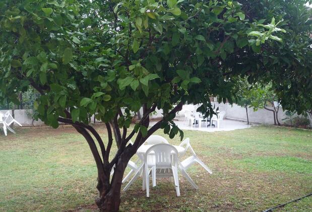 Pinus Apart & Otel - Görsel 41