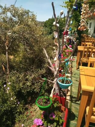 Lotus Pansiyon - Görsel 37