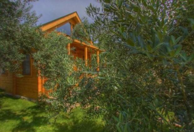 Yelkovan Ada ve Zeytin Evleri - Görsel 3