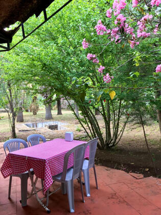 Artemis Hotel Çıralı - Görsel 14