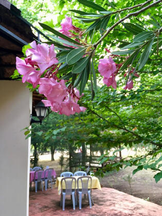 Artemis Hotel Çıralı - Görsel 3