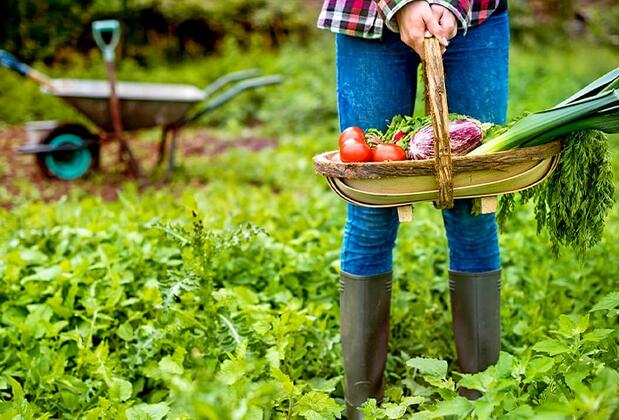 Olympos Eco Village Pansiyon - Görsel 14