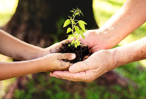 Olympos Eco Village Pansiyon - Görsel 17