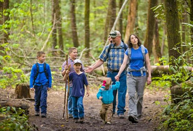 Olympos Eco Village Pansiyon - Görsel 19