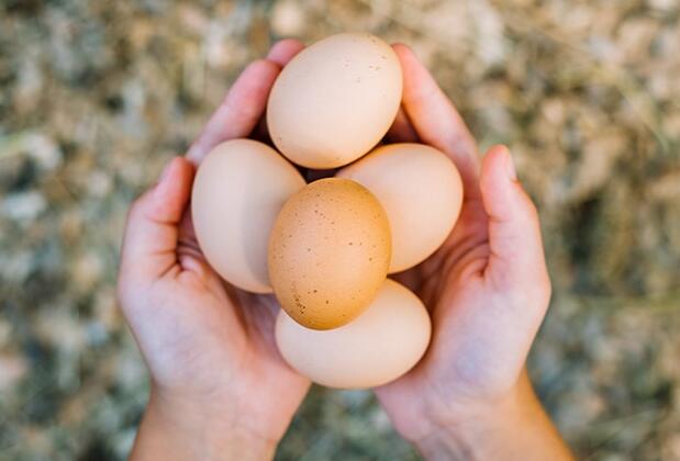 Olympos Eco Village Pansiyon - Görsel 15