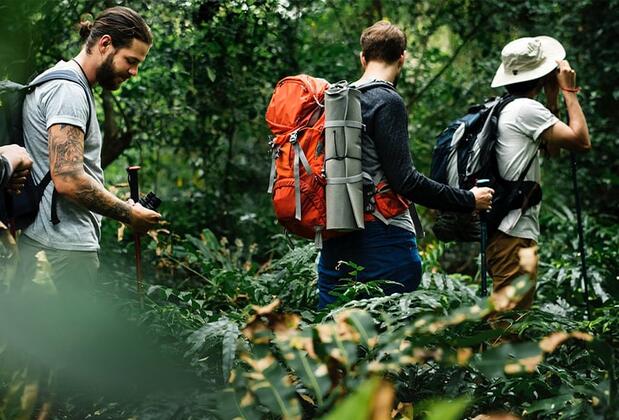 Olympos Eco Village Pansiyon - Görsel 20