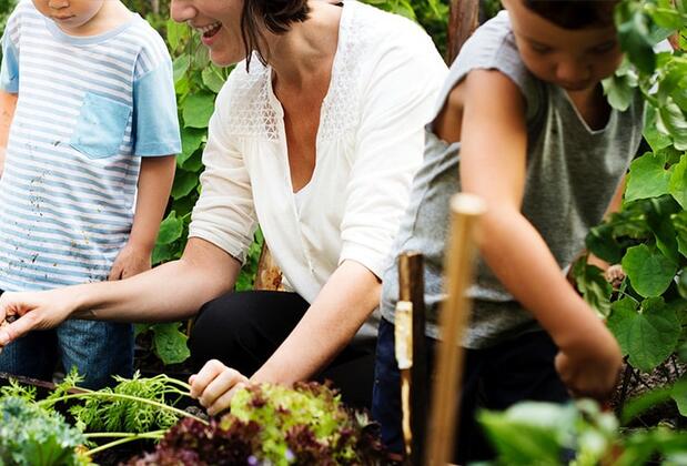 Olympos Eco Village Pansiyon - Görsel 21