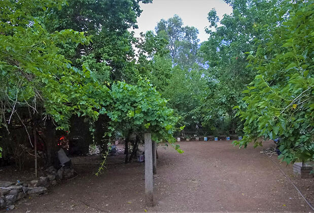 Olympos Eco Village Pansiyon - Görsel 3