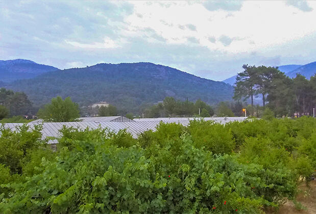 Olympos Eco Village Pansiyon - Görsel 9