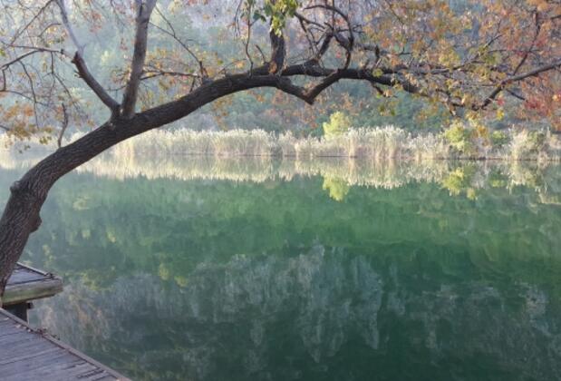 Paradise Club Villaları - Görsel 28