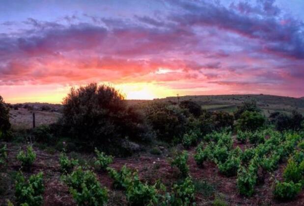 Güneşli Bahçe - Görsel 13