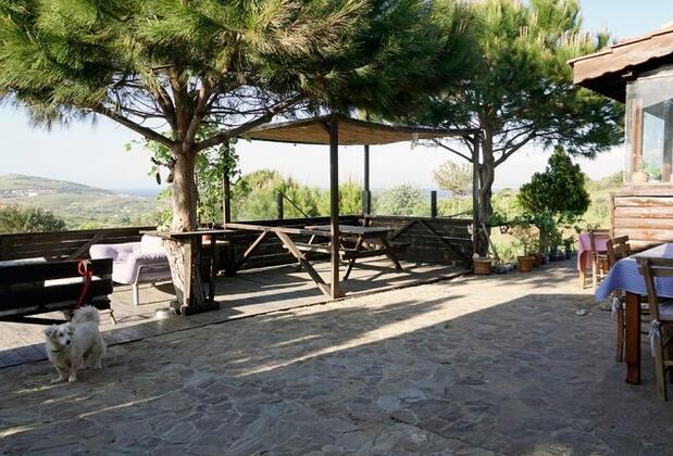 Güneşli Bahçe - Görsel 3