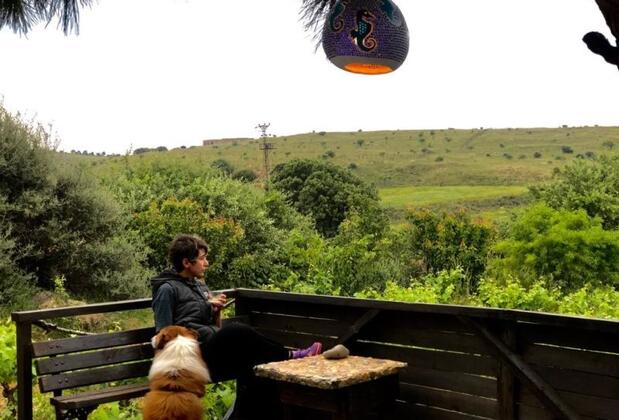 Güneşli Bahçe - Görsel 10