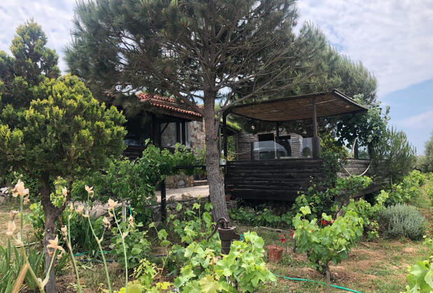 Güneşli Bahçe - Görsel 11