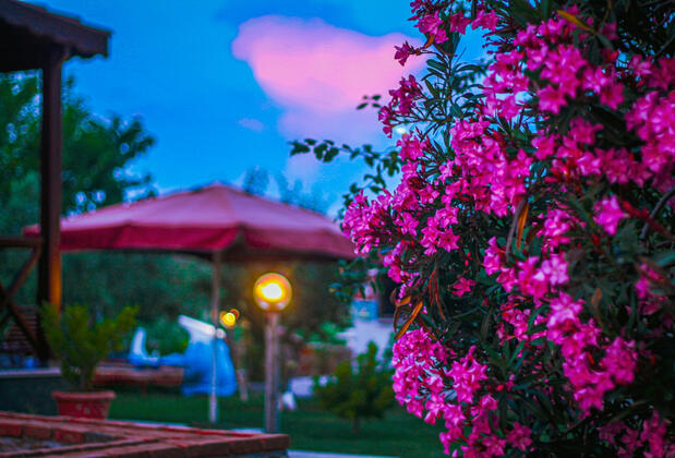 Güleda Bağevi - Görsel 15