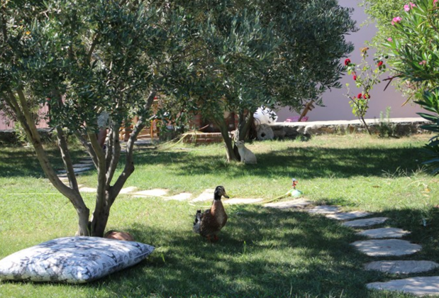 Poyraz Bağ Evleri - Görsel 13