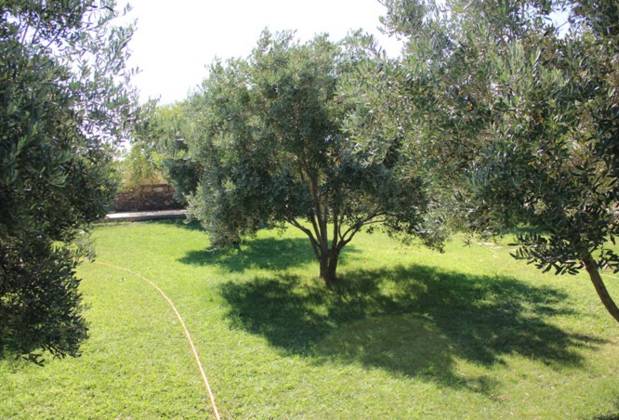 Poyraz Bağ Evleri - Görsel 21