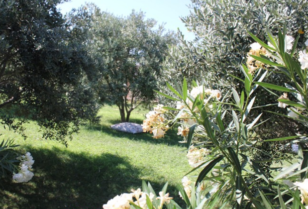 Poyraz Bağ Evleri - Görsel 14