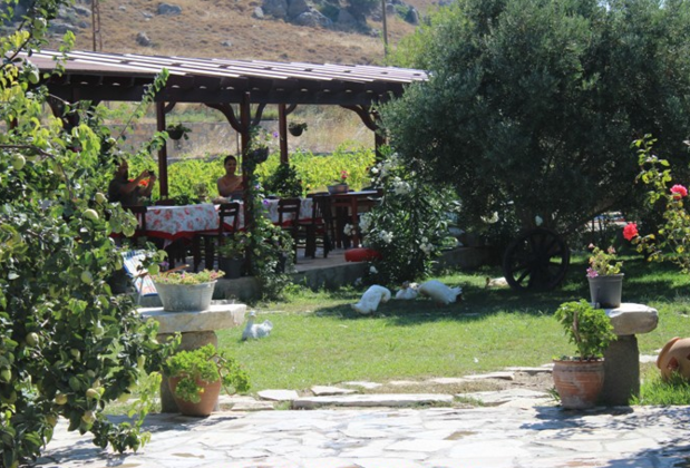 Poyraz Bağ Evleri - Görsel 8