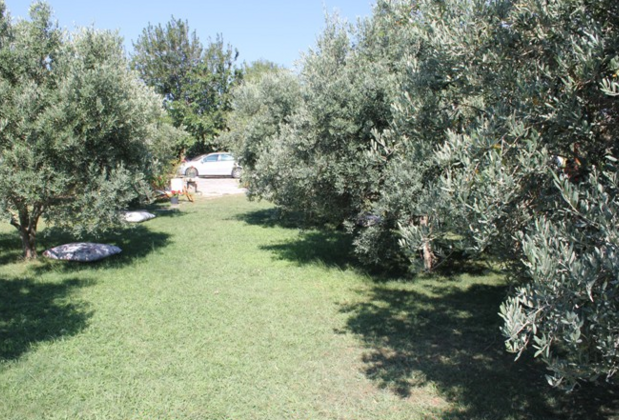 Poyraz Bağ Evleri - Görsel 23