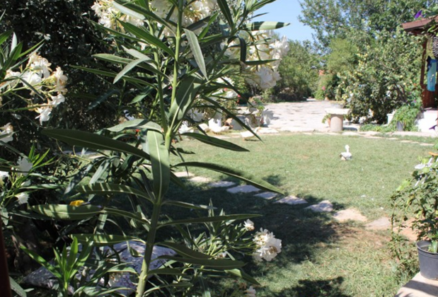 Poyraz Bağ Evleri - Görsel 26