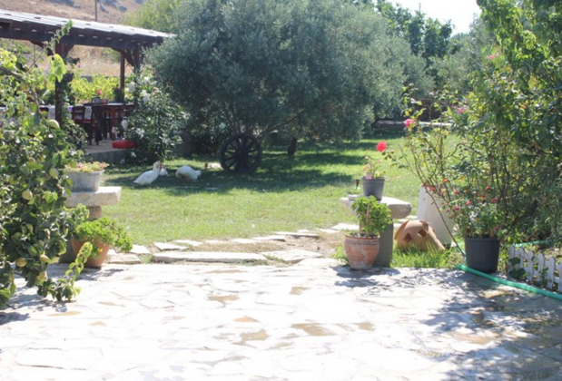 Poyraz Bağ Evleri - Görsel 16