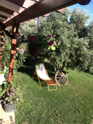 Poyraz Bağ Evleri - Görsel 5