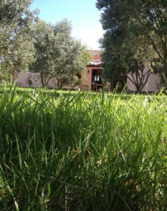 Poyraz Bağ Evleri - Görsel 19