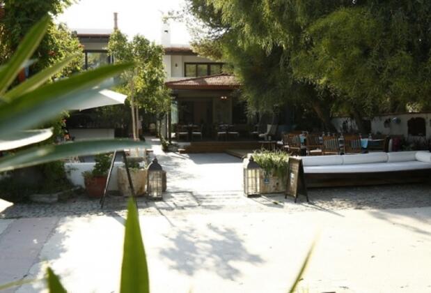 The Life Co Beach Vegan Hotel - Görsel 4