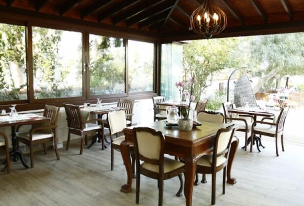 The Life Co Beach Vegan Hotel - Görsel 3