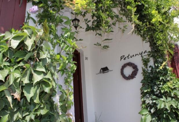 Bozcaada Petunya Apart - Görsel 33