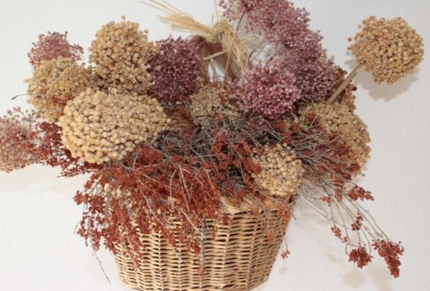 Bozcaada Petunya Apart - Görsel 34