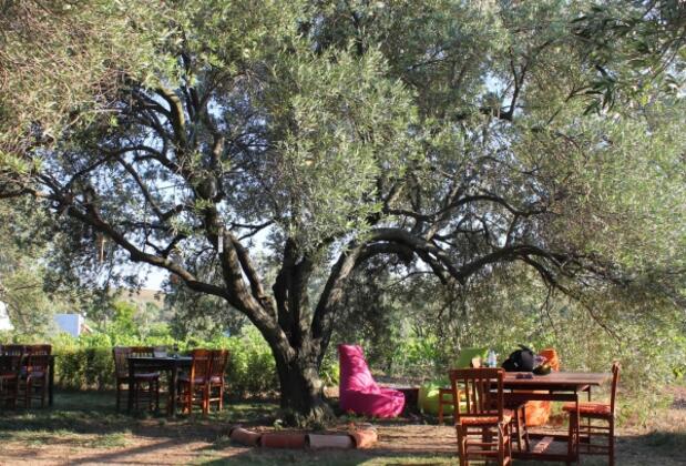 Kardinal Bağ Evi - Görsel 17