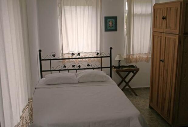 Tenedos Asma Bağ Evi - Görsel 5