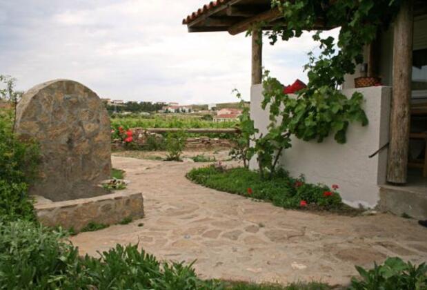 Tenedos Asma Bağ Evi - Görsel 6