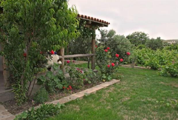 Tenedos Asma Bağ Evi - Görsel 7