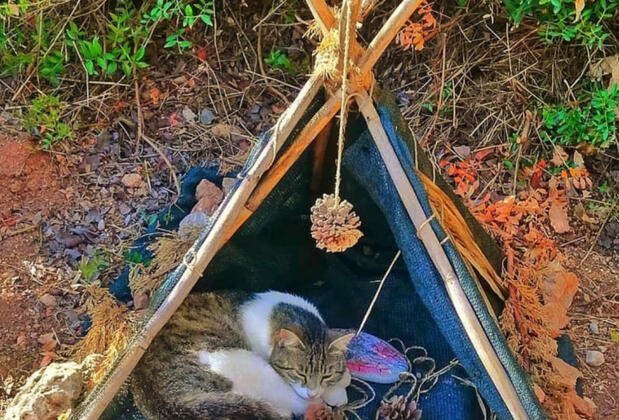 Caliente Bungalows - Görsel 13