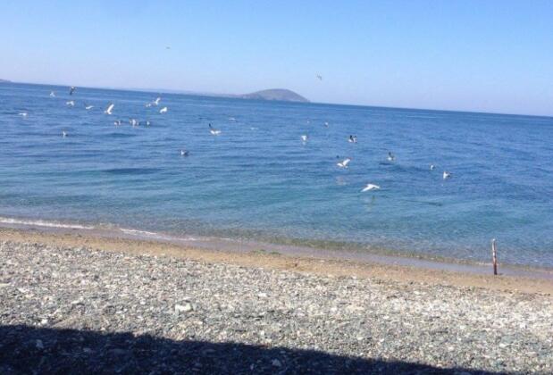 Aba Köşk Otel - Görsel 6