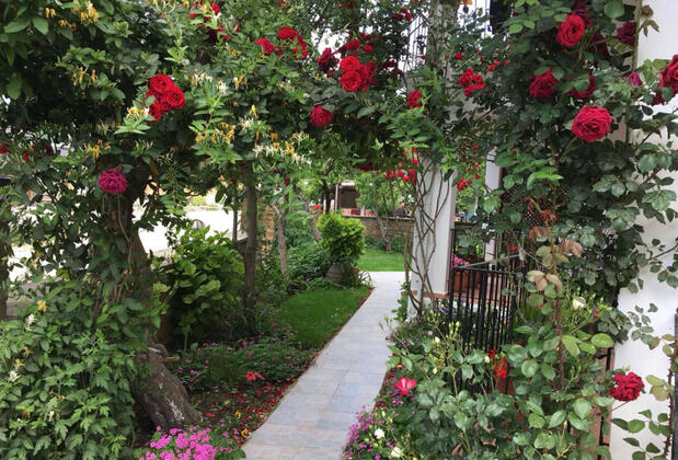 Çelik Pansiyon Gökçeada - Görsel 15