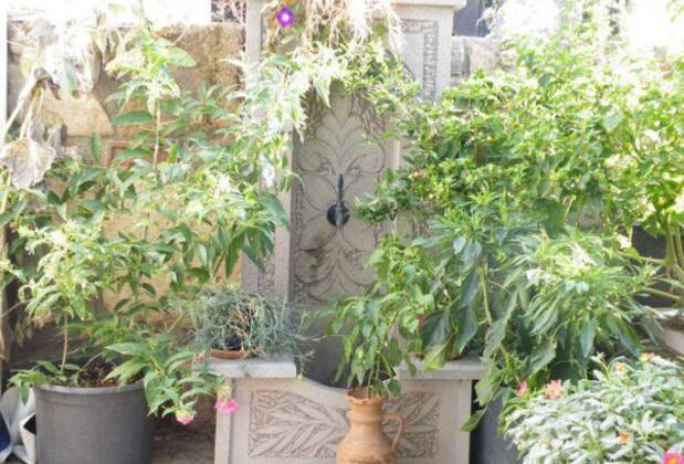 Bozcaada Adonis Pansiyon - Görsel 2