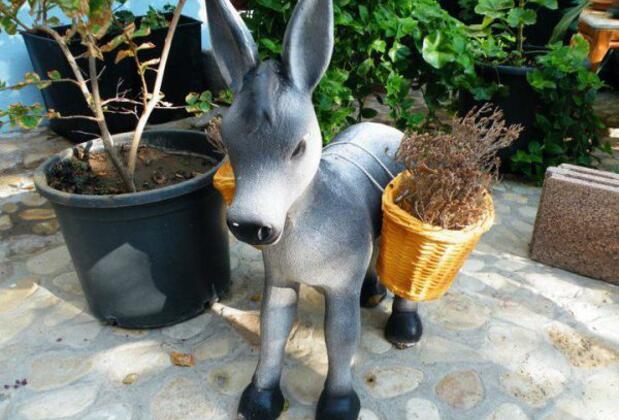 Bozcaada Adonis Pansiyon - Görsel 7