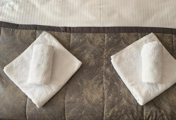 Bolu Adanaz Suite Otel - Görsel 6