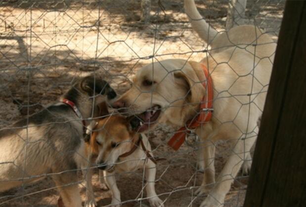 Aessos Otel - Görsel 8