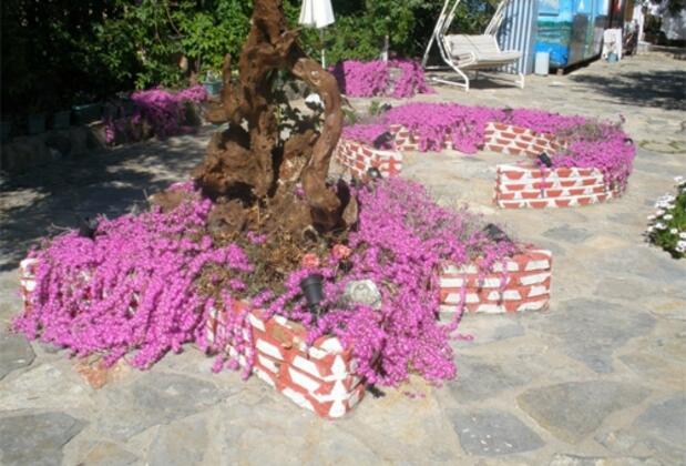 Aessos Otel - Görsel 12