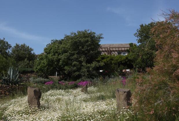 Terra Zoe Butik Otel - Görsel 7