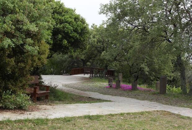 Terra Zoe Butik Otel - Görsel 3