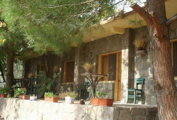 Bronz Motel - Görsel 36