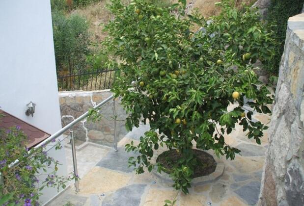 Sude Apart - Görsel 33