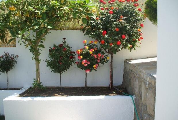 Sude Apart - Görsel 36