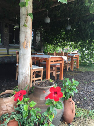 Taşhan Butik Hotel Sivrice - Görsel 46